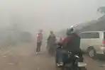 Pakai Masker Biasa Atau N95? Ini Saran Dokter Paru Antisipasi Kabut Asap