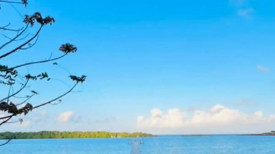 Cuaca Sulawesi Tenggara, Kolaka dan Kendari Cerah, Konawe Berawan, Suhu Capai 32 Derajat Celsius
