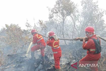 Manggala Agni padamkan karhutla di Teluk Limau Muara Enim