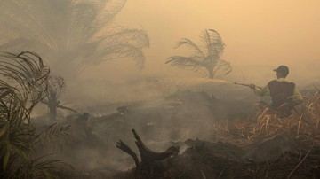 19 Perusahaan Jadi Biang Kerok Karhutla!