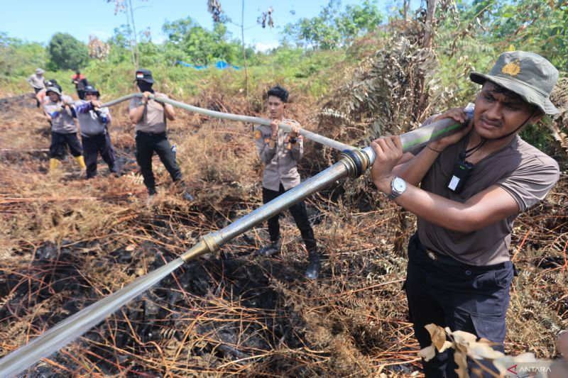 BNPB: 43 ribu personel gabungan padamkan karhutla di enam provinsi