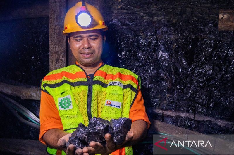 PTBA perkuat infrastruktur logistik dukung efisiensi dan daya saing