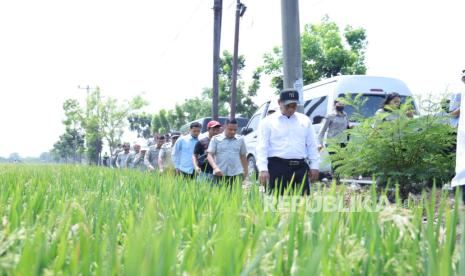 Mentan Amran Sidak Sawah di Karawang, Pastikan Petani Tetap Tanam di Musim Kemarau