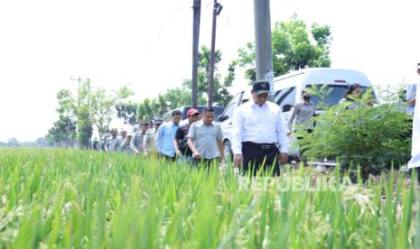 Mentan Amran Sidak Sawah di Karawang, Pastikan Petani Tetap Tanam di Musim Kemarau