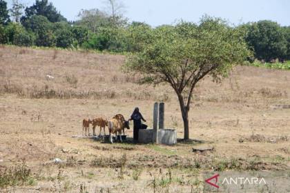 BMKG: Satu kecamatan di Bima alami kekeringan ekstrem, HTH 105 hari