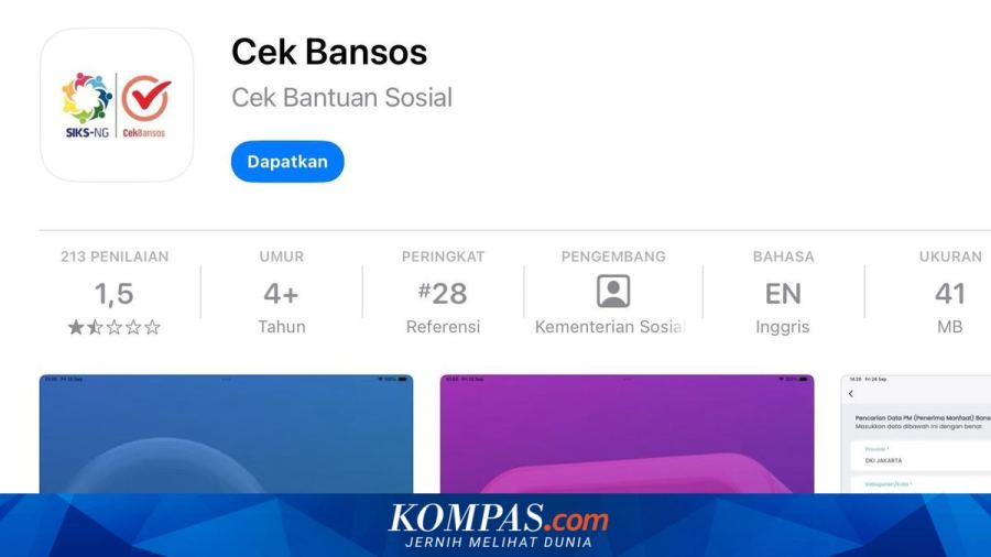 Apa Aplikasi Buat Cek Desil? Berikut Sekaligus Tutorialnya