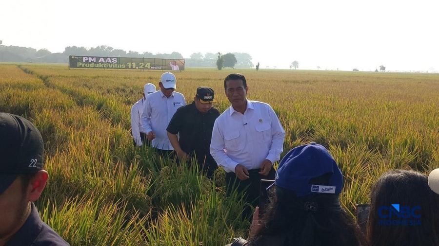 Amran Punya Senjata Baru Naikkan Produksi Beras, Petani Bisa Kaya Raya