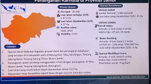 Kebakaran Apartemen Pavilion: 31 WNI dan 2 WNA Dievakuasi