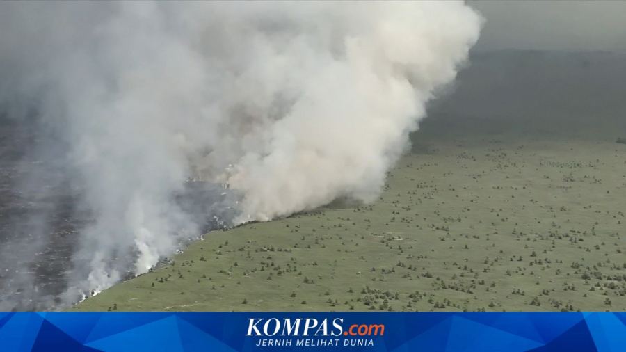 Karhula Menyebar, BNPB Minta Masyarakat Tak Buka Lahan dengan Cara Membakar