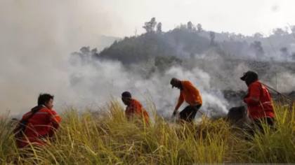 BPBD Kalsel Tangani Karhutla Seluas 360 Hektare
