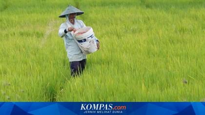 Ketika Pangan Jadi Mesin Pertumbuhan Ekonomi