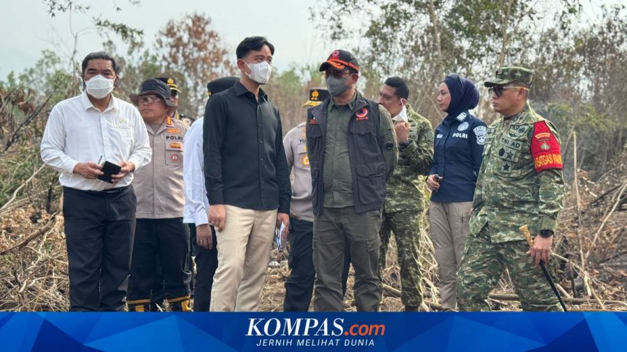 Gibran Minta Maaf karena Udara di Kalimantan Belum Pulih Imbas Karhutla