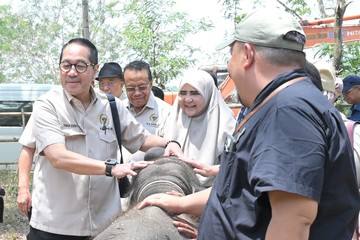 Cegah Karhutla Way Kambas, Firman Soebagyo Dorong Penguatan Deteksi Dini