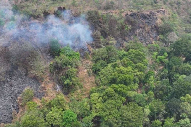 Kemenhut pastikan kendalikan kebakaran di TN Gunung Ciremai