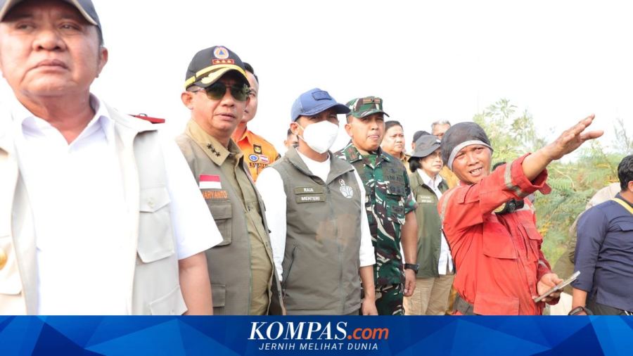 Raja Juli Minta Maksimalkan Operasi Modifikasi Cuaca untuk Atasi Karhutla di Sumsel