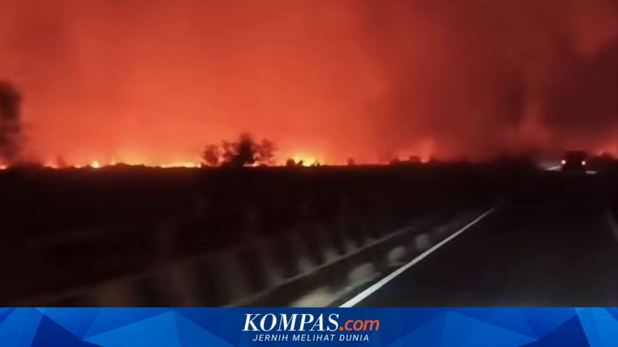 BNPB Terus Pantau Wilayah Terdampak Karhutla, Kalteng Masih Terbanyak dengan 63 Titik Api