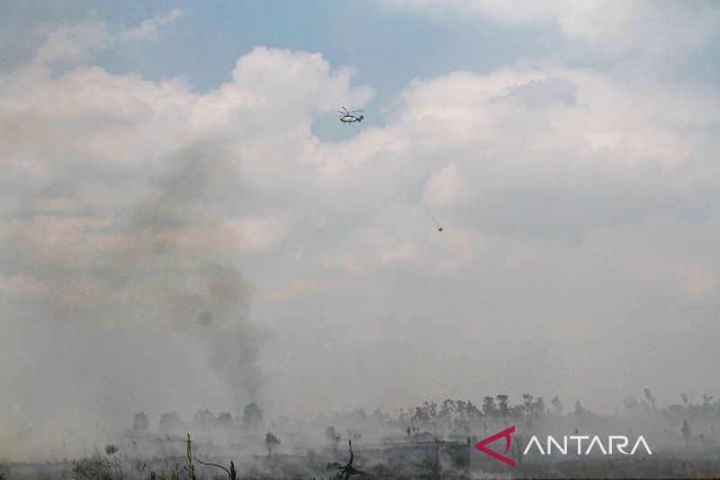 Kemarin, 72 tersangka kasus karhutla hingga perempuan dibawa KKB