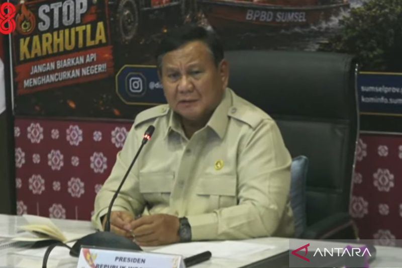 Prabowo dorong inovasi tepung singkong untuk padamkan karhutla