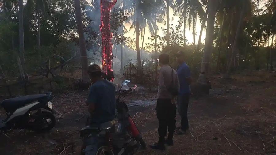Kemarau Melanda Bulukumba: 7 Kecamatan Waspada-Siaga, 255 Ribu Warga Terancam Dampak Kekeringan