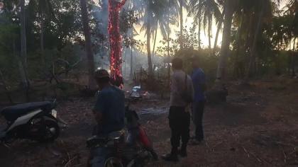 Kemarau Melanda Bulukumba: 7 Kecamatan Waspada-Siaga, 255 Ribu Warga Terancam Dampak Kekeringan