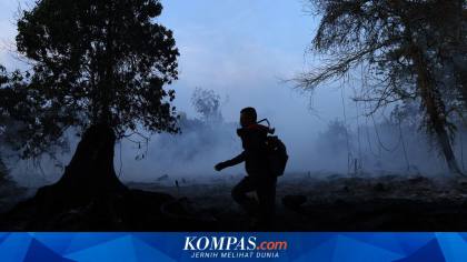 Karhutla, Pakar Ingatkan Masyarakan Tidak Panik
