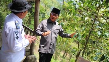 Mendes Sarankan Petani Kopi di Megamendung untuk Revitalisasi Tanaman