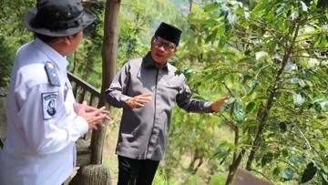Mendes Sarankan Petani Kopi di Megamendung untuk Revitalisasi Tanaman