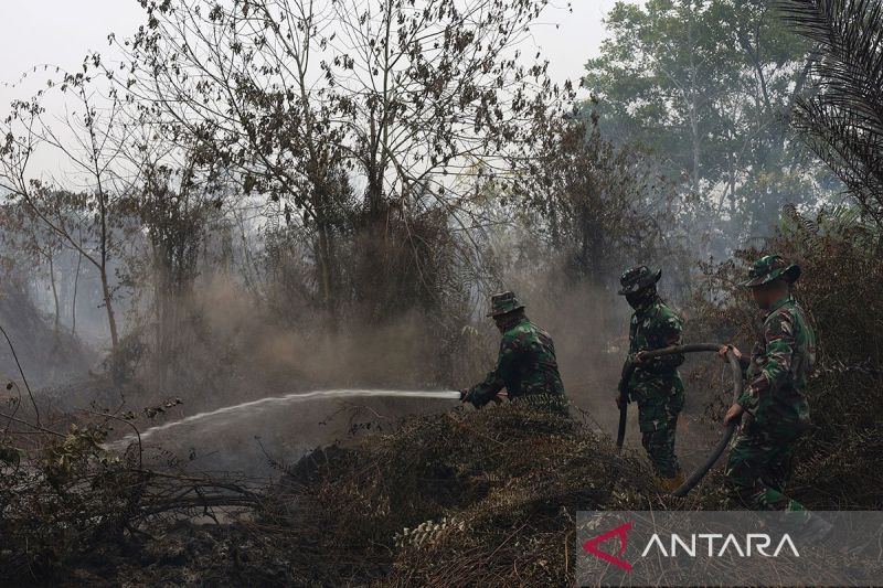 Kemenkes kirim 314 nakes-logistik ke provinsi respons dampak karhutla
