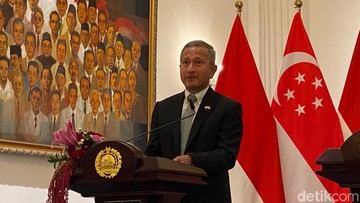 RI-Singapura Bentuk Gugus Tugas, Bakal Tindak Perusahaan Biang Kerok Karhutla