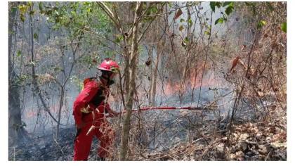 218 Hektare Hutan Terbakar di Pinrang, Duampanua Munculkan 2 Sampai 5 Titik Api Tiap Hari
