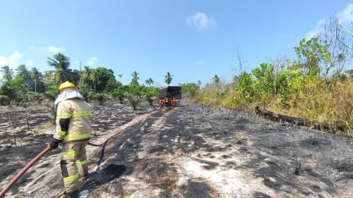 Karhutla Kalimantan Dekati Kawasan IKN, Badan Otorita Siapkan Water Bombing di 5 Titik