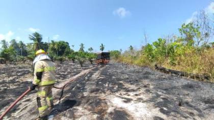 Karhutla Kalimantan Dekati Kawasan IKN, Badan Otorita Siapkan Water Bombing di 5 Titik