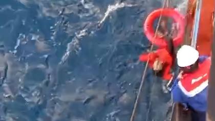 Kapal Virgo Transport 8 Tenggelam di Laut Jawa, Tanker Pertamina Evakuasi 16 Korban