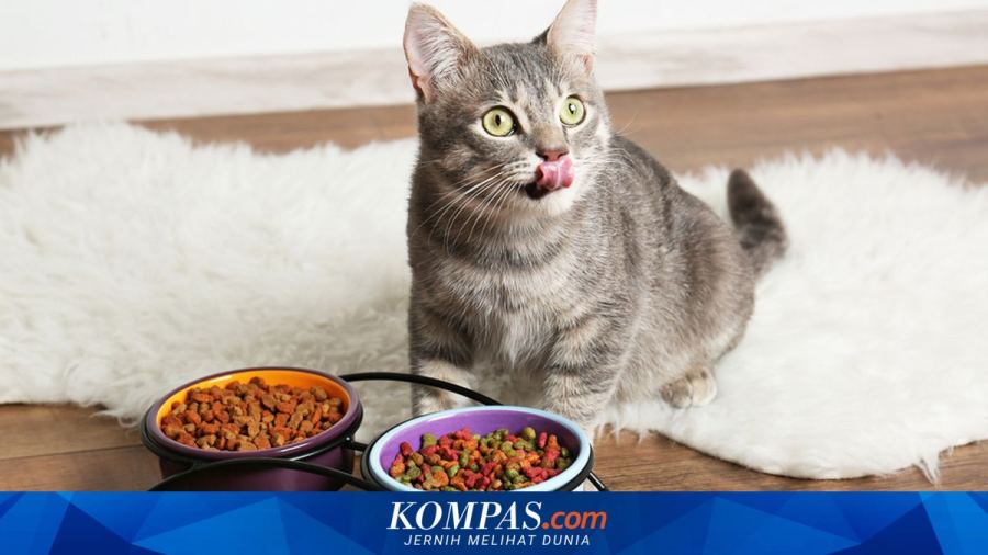 Mendag Minta Produsen "Pet Food" Optimalkan Pasar Domestik dan Ekspor