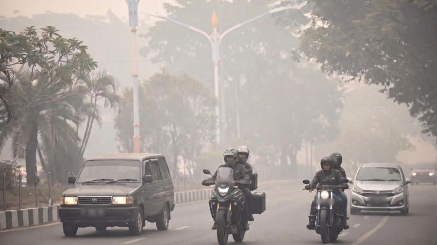 Pakar UMM Ungkap Bahaya Asap Karhutla bagi Paru-Paru