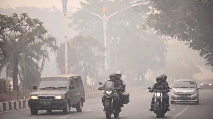 Pakar UMM Ungkap Bahaya Asap Karhutla bagi Paru-Paru
