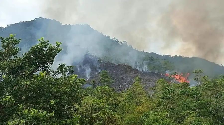 Kebakaran Hutan di Tiromanda Luwu Meluas hingga 10 Hektare, Api Berjarak 2 Km dari Pemukiman