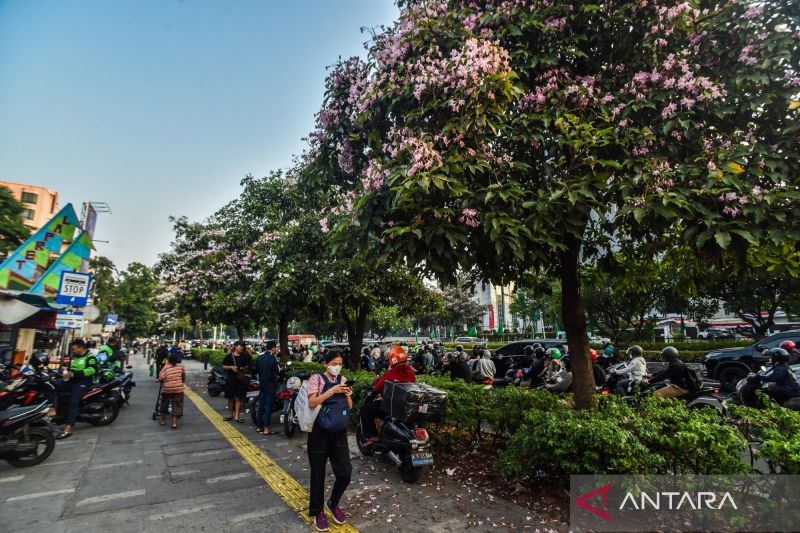 Jakarta cerah berawan pada Jumat pagi hingga malam hari