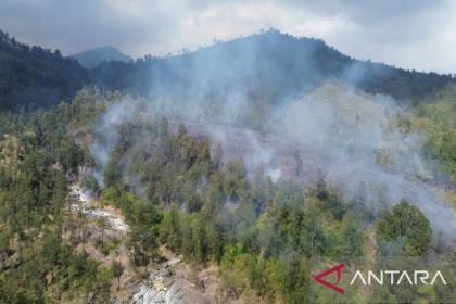 Pemkab Banyuwangi tetapkan Status Tanggap Darurat Karhutla TWA Ijen