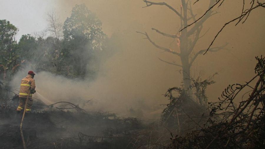 Jepang Kirim 3 Helikopter, Bantu RI Tangani Karhutla Kalimantan