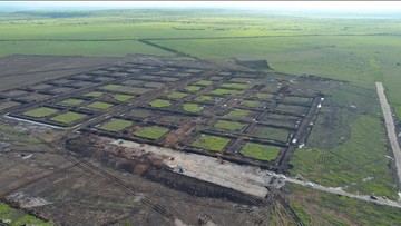 Tambak Udang Raksasa Dibangun di NTT, Telan Biaya Rp 7,2 T