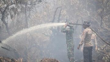 Kapolda Riau Patroli Udara, Pastikan Karhutla Pelalawan Ditangani hingga Tuntas