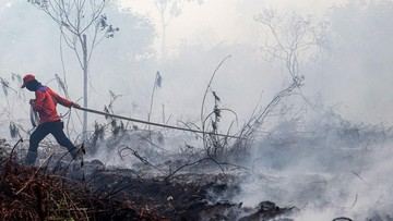 Bukan El Nino, Pakar Sebut Manusia Pemicu Utama Karhutla