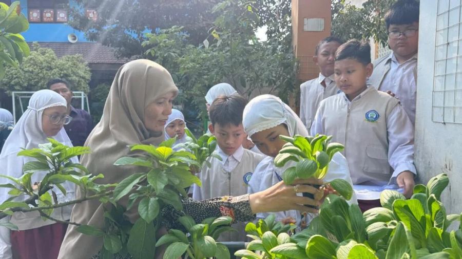 Murid SD Muhammadiyah 3 Ikrom Wage Panen Pakcoy Hidroponik