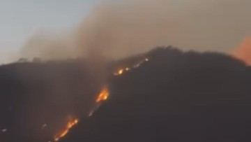 Cagar Alam Merapi Ungup-ungup Ijen Kebakaran