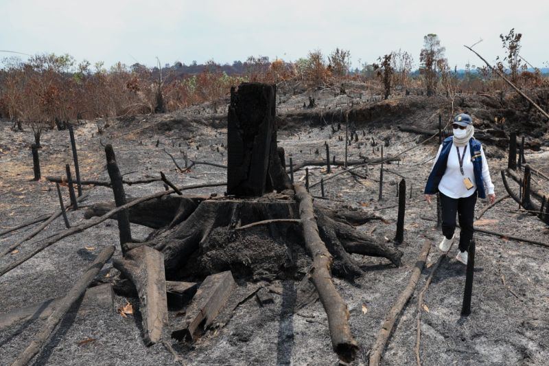 Menjaga Bukit Soeharto tetap bernapas