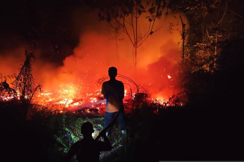 Celios: Mitigasi karhutla penting cegah kerugian ekonomi
