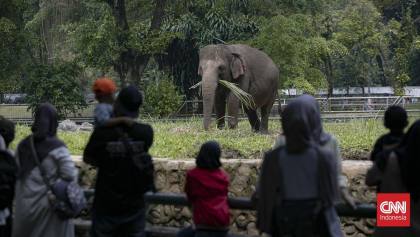 Wacana Kenaikan Tarif Ragunan, Harga Tiket Masuk Jadi Rp10 Ribu