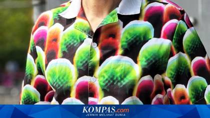 Kemeja Ajaib dengan Motif Mencolok Justru Bikin "Hilang" dari Pandangan AI