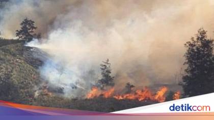 Puncak Papua Tengah Status Tanggap Darurat Kebakaran-Hujan Es Selama 14 Hari